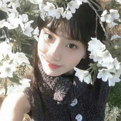 菊石
