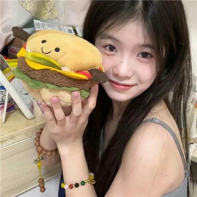兔子镇的火狐狸